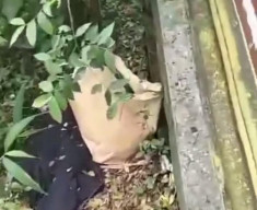 Bayi Laki-laki Dalam Tas Kertas Coklat, Dibuang di Ring Road Kota Madiun