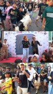 Tradisi Arak-Arakan Kambing di Kalitutup Gresik, Warga Sambut Hari Raya Kurban dengan Meriah
