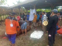Penuh Kebersamaan, Jamaah Masjid Al-Falah Desa Menongo Lamongan Gelar Penyembelihan Hewan Kurban