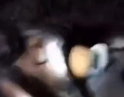 Niat Tangkap Ular, Warga Rohil Malah Dililit hingga Koma
