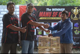Event Piala Manu SF Cup 1 feat Sukorejo BC di Gresik, Diikuti Ratusan Kicaumania